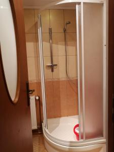 ダルウォボにあるAgroturystyka Stokrotkaのバスルーム(ガラスドア付きのシャワー付)