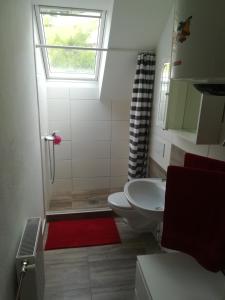 a bathroom with a toilet and a sink and a window at Apartma PR PEKOVCU in Bohinj