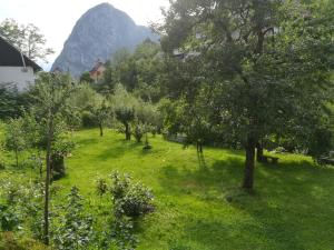 Galeriebild der Unterkunft Apartma PR PEKOVCU in Bohinj