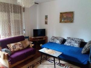 a living room with a blue couch and a table at Apartman Trninic in Gornji Ribnik