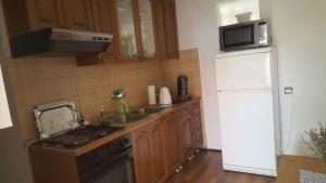a kitchen with a refrigerator and a stove and a sink at Apartman Zahira in Karlobag