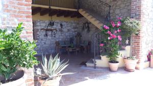 a patio with potted plants and a table and chairs at Casa Bassetto in Longare