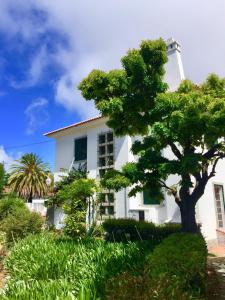 une maison blanche avec un arbre devant dans l'établissement Cascais Seaside Garden Villa, à Cascais
