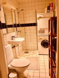 a bathroom with a toilet and a sink and a shower at OSLO S, City Center Apartments in Oslo