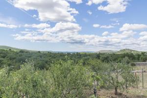 a view from the top of a hill with trees at House Green Paradise in Vrpolje