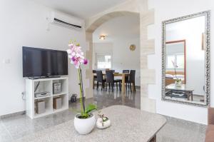 TV a/nebo společenská místnost v ubytování Apartments Crystal