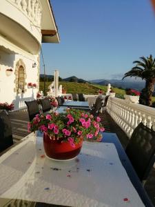 奧里奧的住宿－Agroturismo Pagoederraga，阳台上的桌子上放着一壶鲜花