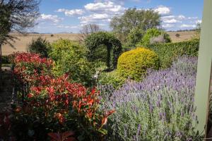 a garden filled with lots of flowers and plants at Strathearn Park Lodge in Scone