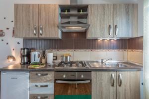 Kuchyň nebo kuchyňský kout v ubytování Apartment San + 17 fotografií