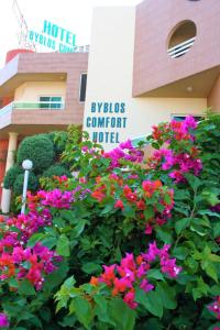 Zahrada ubytování Byblos Comfort Hotel