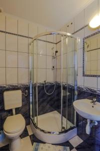 a bathroom with a shower and a toilet and a sink at Dziubasowka in Poronin