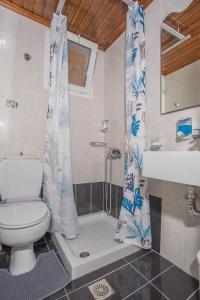 a bathroom with a toilet and a shower and a sink at Melissi in Lefkada Town