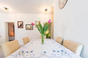 Fotografie z fotogalerie ubytování Apartment Semes v destinaci Cavtat