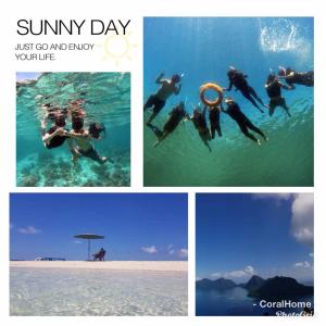 een collage van foto's van mensen die in het water zwemmen bij Coral Home 珊瑚之家 in Semporna