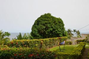 a chair in a garden with flowers and a tree at Villa les 3 oisillons in Kribi