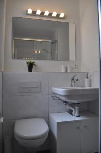 a bathroom with a sink and a toilet and a mirror at Paradies 210 in Arosa