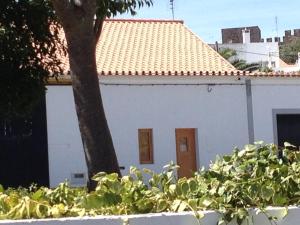uma casa branca com uma árvore em frente em CASA NA VILA HISTÓRICA DE MOURÃO em Mourão