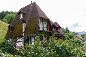 a house with a roof that is covered in ivy at Salo I Mandry Apartment in Rakhiv
