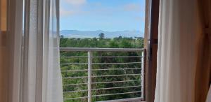 a window with a view of a field of trees at Regency Mount Kenya Hotel in Timau