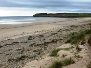 an empty beach with rocks and grass on it at Castletown Hotel in Castletown