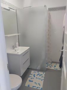 Koupelna v ubytování Apartment Ivana