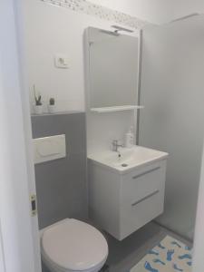 Koupelna v ubytování Apartment Ivana