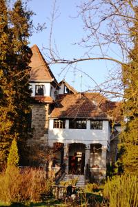a large white house with a roof at Villa Castelul Maria in Banpotoc