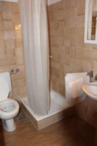 a bathroom with a shower and a toilet and a sink at Small apartment Merica in Novalja +8 photos