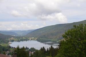 - une vue sur un lac au milieu d'une vallée dans l'établissement Les Loges du Lac - Appartement avec Terrasse, à Gérardmer