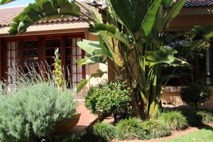 Φωτογραφία από το άλμπουμ του Micasa Sucasa Guesthouse σε Lephalale