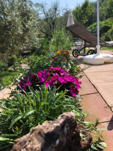 A garden outside B&B Puccini