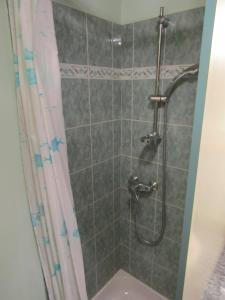 Un baño con ducha y un inodoro. en La Boissellerie, en Saulxures-sur-Moselotte