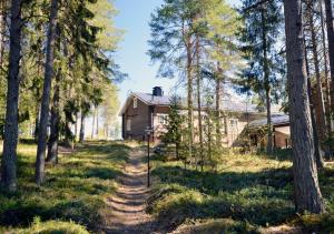 a house in the woods with a dirt road in front at Kiiruna Kitkankieppi in Virrankylä