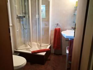 Koupelna v ubytování Apartment HAUS MERLIN am Böckelsberg + 37 fotografií
