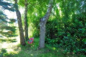 a red chair sitting next to two trees at Dom letniskowy Bajka in Rowy