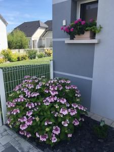 Zahrada ubytování La Maison De Roméo