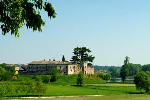 an old house on a hill with a tree at Antica Dimora dell'Ortolano in Castellaro