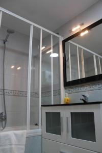 a bathroom with a shower and a large mirror at Piso turístico Belisa in Lerma
