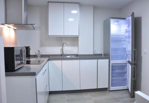 Kuchyň nebo kuchyňský kout v ubytování Apartamentos Sábora