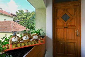 Fotografia z galérie ubytovania Novák Apartman v destinácii Gyula + 2 fotografie