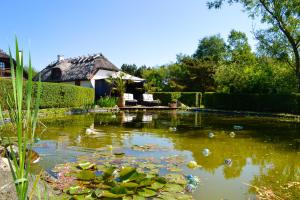 un estanque con lirios y patos en un patio en Holmsminde, en Viborg