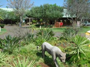 a statue of a cat standing in the grass at Bakgatla Resort in Pilanesberg