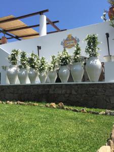 Zahrada ubytování Quartara Boutique Hotel
