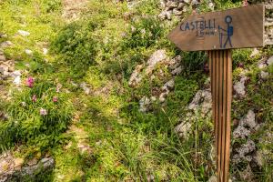 A garden outside Castelli Olive Press