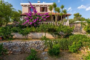 Zahrada ubytování Villa Fortica