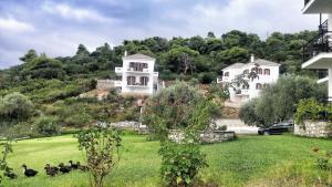 une maison sur une colline avec des canards dans l'herbe dans l'établissement Mando Beachfront, à Stafylos