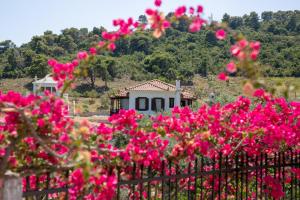 a fence with pink flowers in front of a house at Mando Beachfront in Stafylos