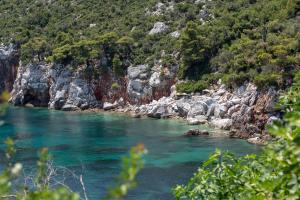 a river with blue water and rocks and trees at Mando Beachfront in Stafylos