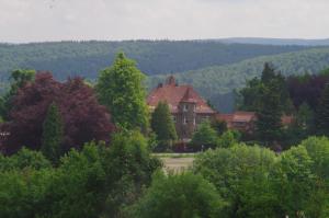 uma casa no meio de uma floresta de árvores em Apartment Aagje 002 em Winterberg