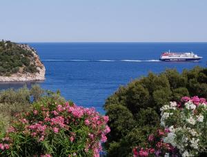 a cruise ship in the water with flowers at Mando Beachfront in Stafylos